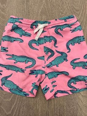 Chubbies Swim Trunk Boys Toddler Size 4T Glades Alligator Swimsuit Beach Pink